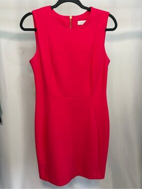 Calvin Klein Hot Pink Sheath Dress – Size 6